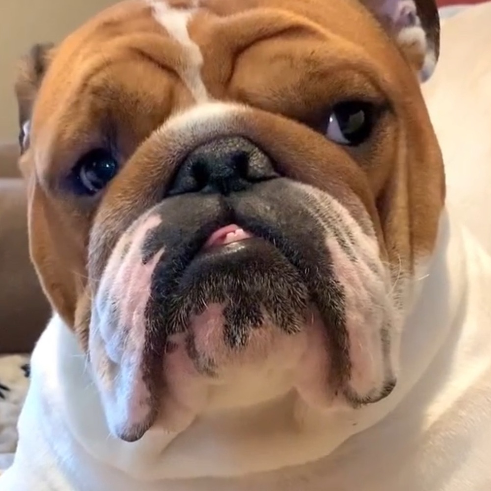 Meet your Posher, Jacob